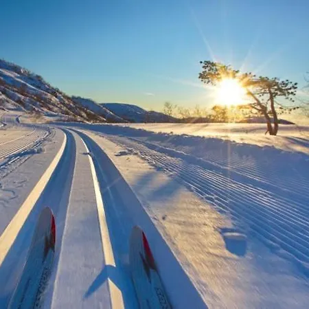 Koselig Med Sjel Pa Fjellet :) Tjorhom